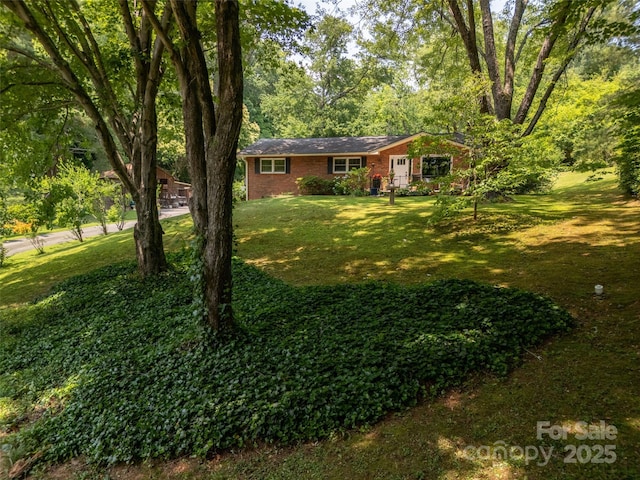 26 Melton Rd, Candler, NC 28715 - view of grassy yard
