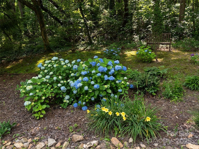 26 Melton Rd, Candler, NC 28715 - exterior view