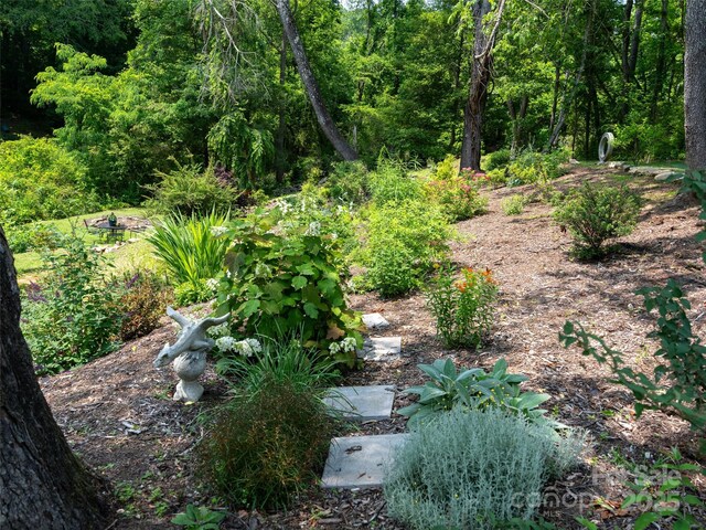 26 Melton Rd, Candler, NC 28715 - view of yard
