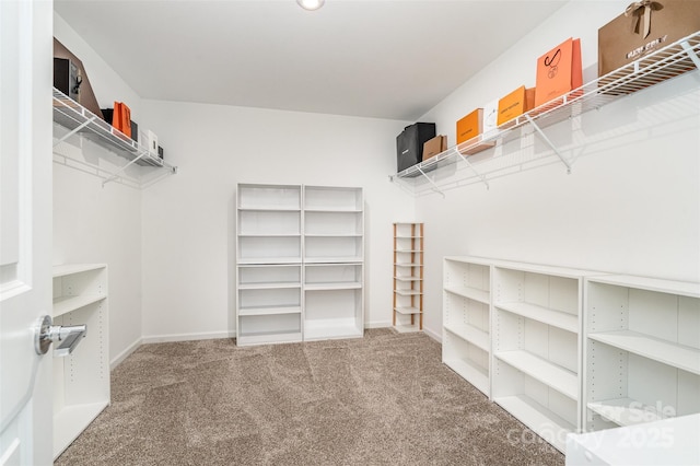 11116 Godwit Ln, Charlotte, NC 28278 - walk in closet featuring carpet
