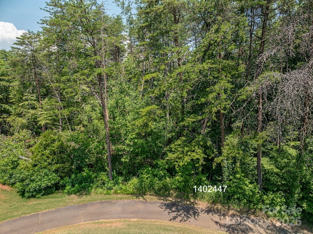 00 Washburn Ln, Rutherfordton, NC 28139 - photo 20