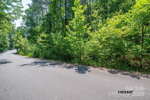 00 Washburn Ln, Rutherfordton, NC 28139 - photo 29