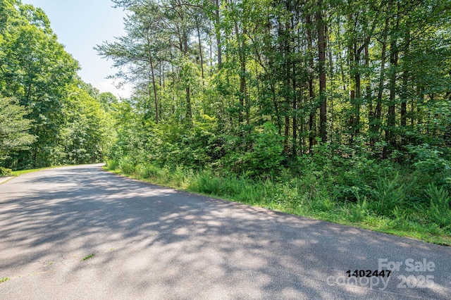 00 Washburn Ln, Rutherfordton, NC 28139 - photo 30