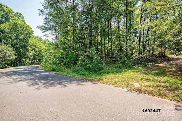 00 Washburn Ln, Rutherfordton, NC 28139 - photo 31