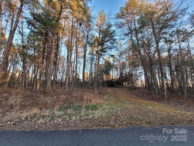 00 Washburn Ln, Rutherfordton, NC 28139 - photo 3