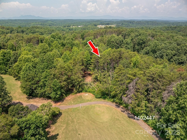 00 Washburn Ln, Rutherfordton, NC 28139 - photo 4