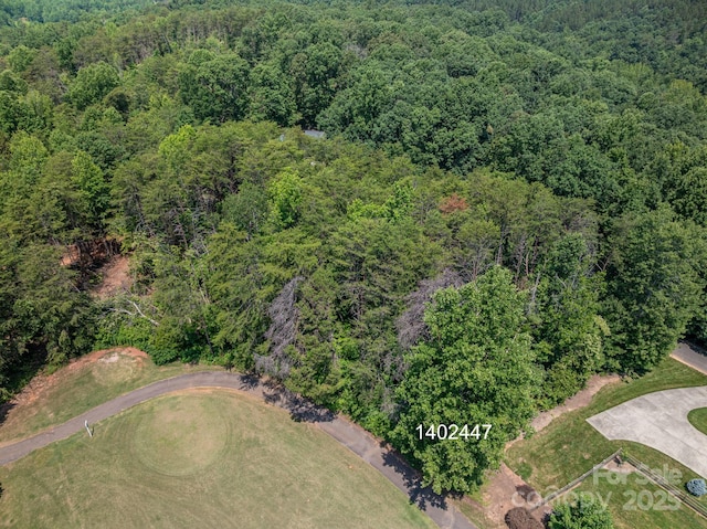 00 Washburn Ln, Rutherfordton, NC 28139 - photo 10