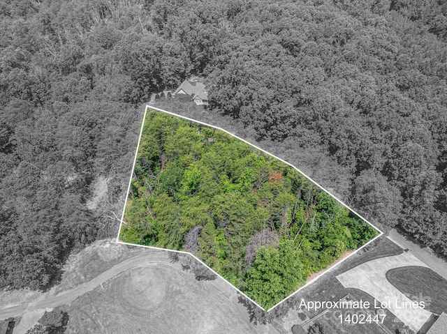 00 Washburn Ln, Rutherfordton, NC 28139 - photo 11