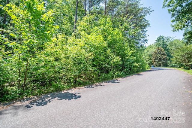 00 Washburn Ln, Rutherfordton, NC 28139 - photo 15