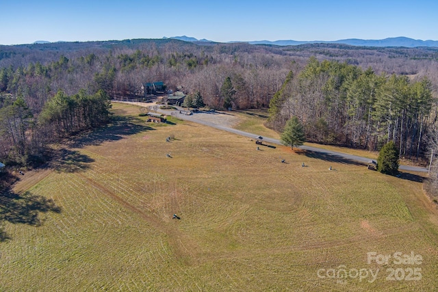 00 Washburn Ln, Rutherfordton, NC 28139 - photo 16
