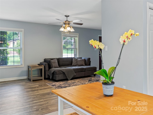17 Fieldtop Ln, Arden, NC 28704 - living room featuring a ceiling fan and wood finished floors