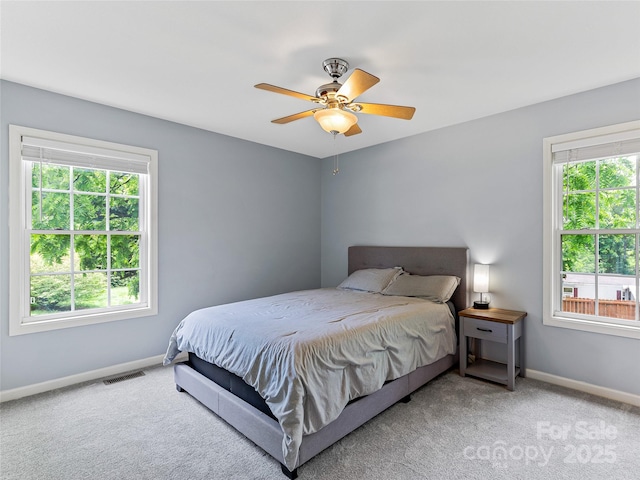 17 Fieldtop Ln, Arden, NC 28704 - bedroom featuring multiple windows, carpet floors, and ceiling fan