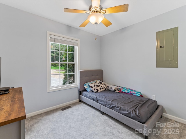17 Fieldtop Ln, Arden, NC 28704 - carpeted bedroom with electric panel and ceiling fan