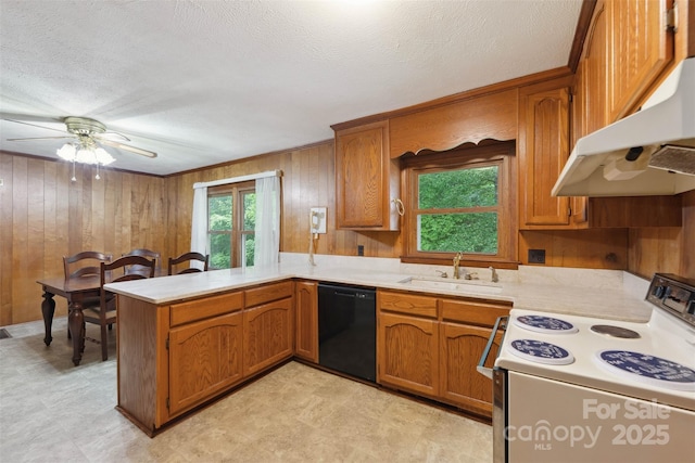46 Donna Dale Ave SE, Concord, NC 28025 - kitchen featuring black dishwasher, white range with electric cooktop, a sink, a peninsula, and light countertops
