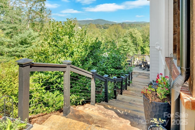 23 Windy Rdg, Fairview, NC 28730 - photo 43