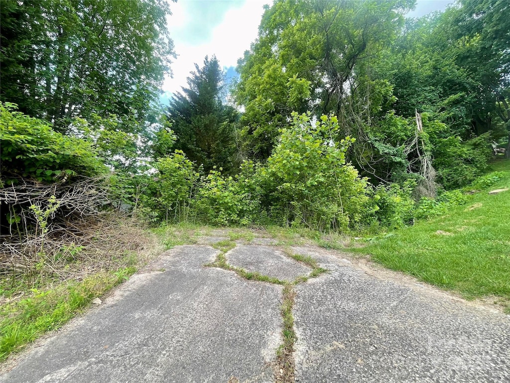 31 Paralee Ln, Waynesville, NC 28786