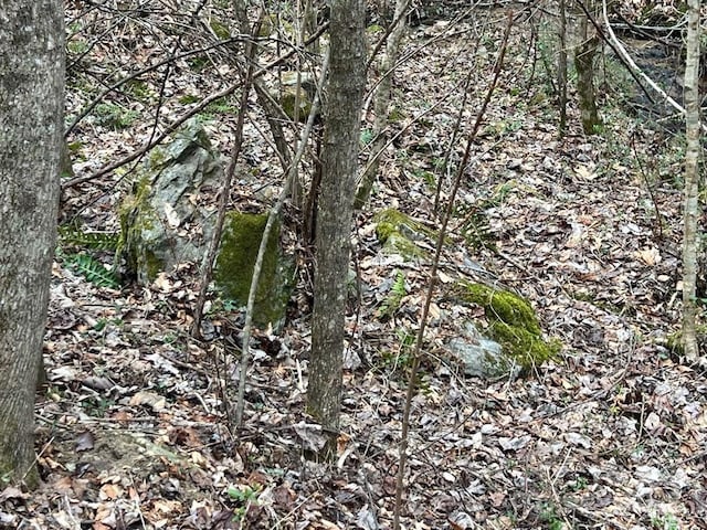 0 English Setter Trl Lot 8, Whittier, NC 28789