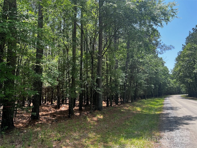 LotB Sandlapper Drive B, York, SC 29745
