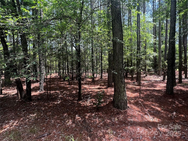 LotB Sandlapper Drive B, York, SC 29745