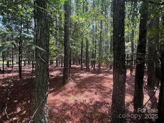 LotB Sandlapper Drive B, York, SC 29745
