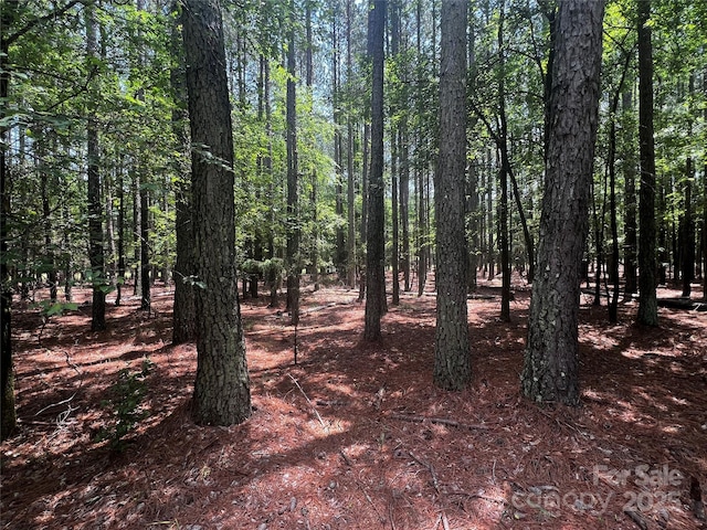 LotB Sandlapper Drive B, York, SC 29745