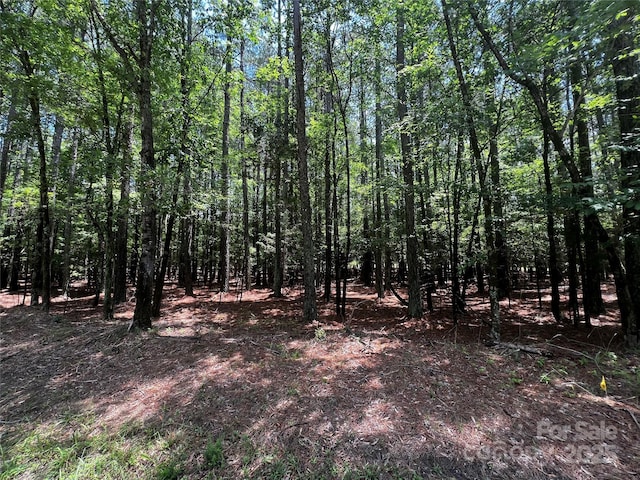 LotB Sandlapper Drive B, York, SC 29745