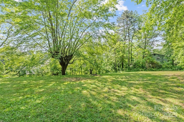 40 Autumn St, Canton, NC 28716 - view of grassy yard