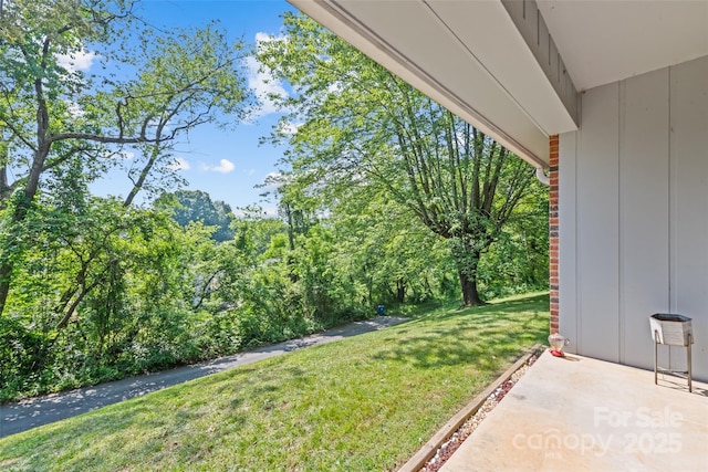 40 Autumn St, Canton, NC 28716 - view of grassy yard
