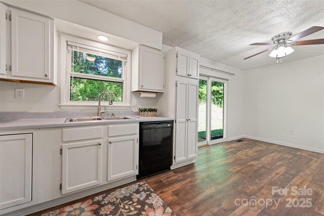 40 Autumn St, Canton, NC 28716 - kitchen with black dishwasher, a sink, white cabinets, light countertops, and a textured ceiling