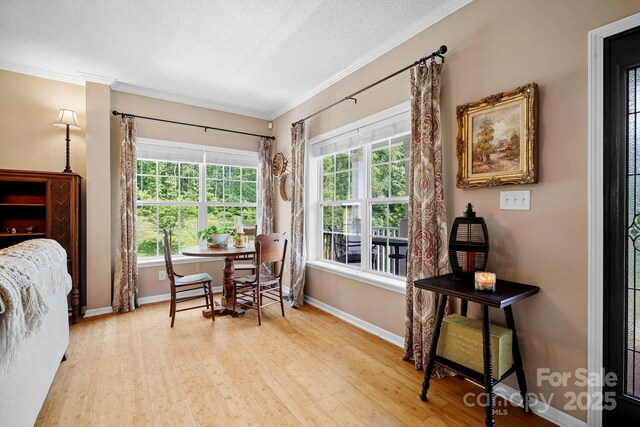 491 Paint Fork Rd, Barnardsville, NC 28709 - dining area featuring crown molding, light wood-style floors, baseboards, and a textured ceiling