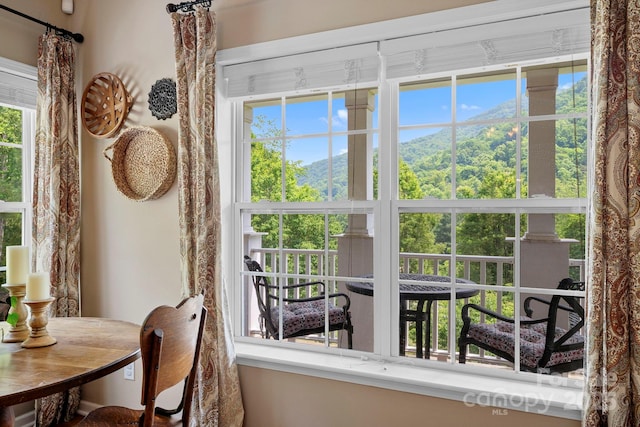 491 Paint Fork Rd, Barnardsville, NC 28709 - detailed view of a mountainous background