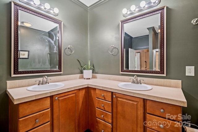 491 Paint Fork Rd, Barnardsville, NC 28709 - bathroom with double vanity and crown molding