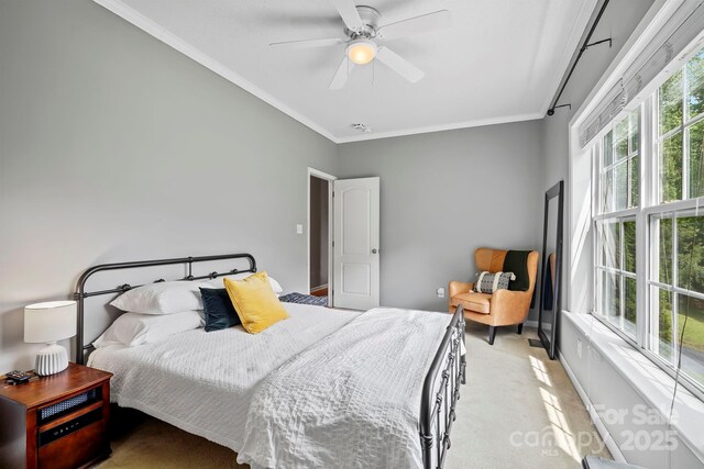 491 Paint Fork Rd, Barnardsville, NC 28709 - bedroom with crown molding, light carpet, baseboards, and a ceiling fan