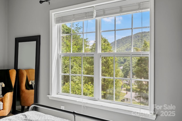 491 Paint Fork Rd, Barnardsville, NC 28709 - detailed view of a mountain backdrop