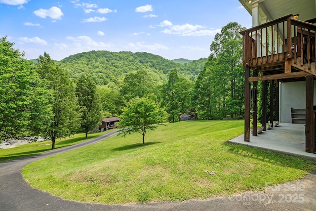491 Paint Fork Rd, Barnardsville, NC 28709 - view of grassy yard with a view of trees and a deck with mountain view