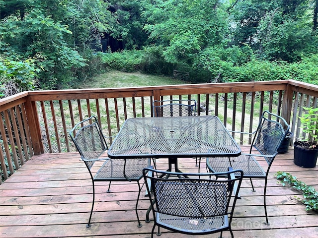 152 New Haw Creek Rd, Asheville, NC 28805 - photo 3