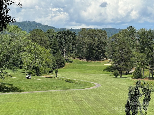 34 Edwards St, Asheville, NC 28806 - view of property's community with a lawn