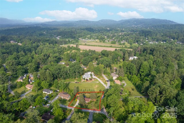 235 Lyndale Rd, Hendersonville, NC 28739 - photo 24