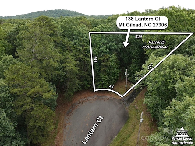 138 Lantern Ct Unit 1235R, Mount Gilead, NC 27306 - photo 1