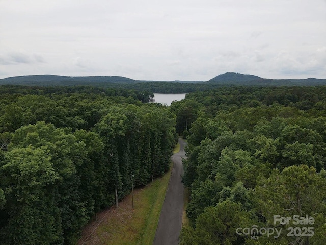 138 Lantern Ct Unit 1235R, Mount Gilead, NC 27306 - photo 18