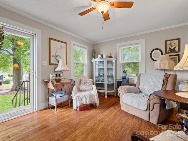 206 Charlotte St, York, SC 29745 - living area with wood finished floors, a ceiling fan, plenty of natural light, and crown molding