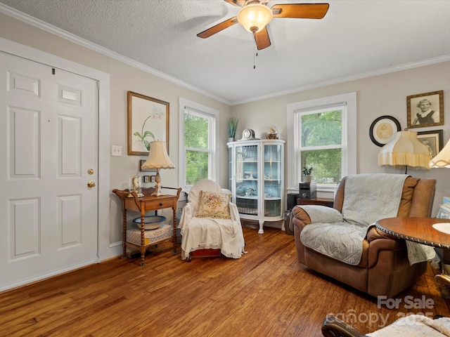 206 Charlotte St, York, SC 29745 - living room with wood finished floors, a ceiling fan, plenty of natural light, crown molding, and a textured ceiling
