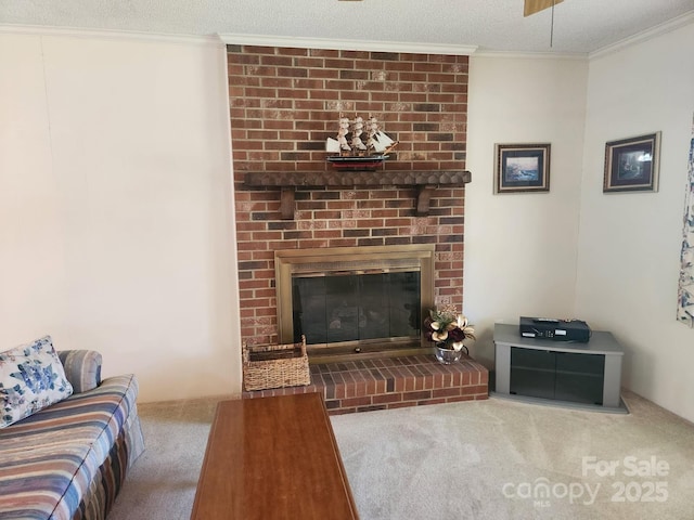 10414 Tillman Steen Rd, Indian Land, SC 29707 - photo 4