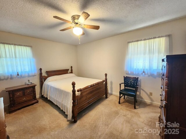 10414 Tillman Steen Rd, Indian Land, SC 29707 - photo 14