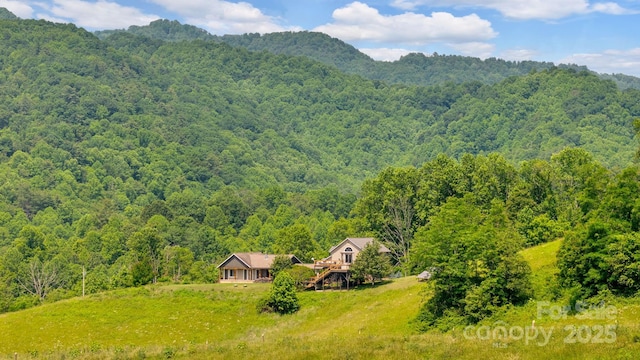 540 Upper Paw Paw Rd, Marshall, NC 28753 - view of mountain background featuring a forest
