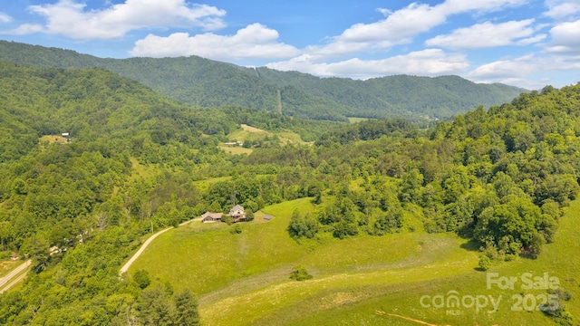 540 Upper Paw Paw Rd, Marshall, NC 28753 - bird's eye view of a heavily wooded area and a mountainous background