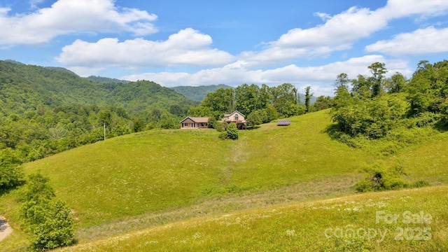 540 Upper Paw Paw Rd, Marshall, NC 28753 - overview of rural landscape featuring a forest