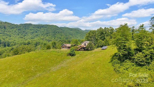 540 Upper Paw Paw Rd, Marshall, NC 28753 - view from above of property with a forest