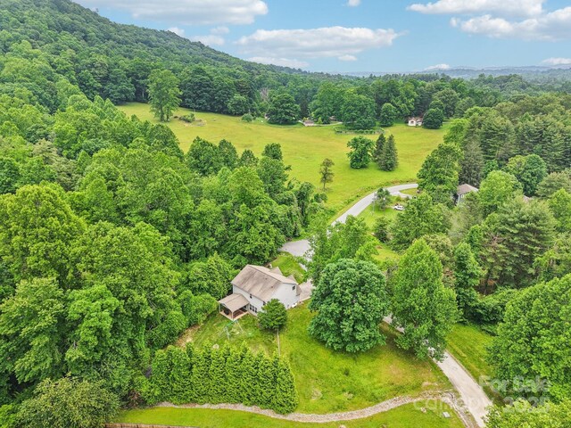 22 Streamside Dr, Hendersonville, NC 28791 - photo 5