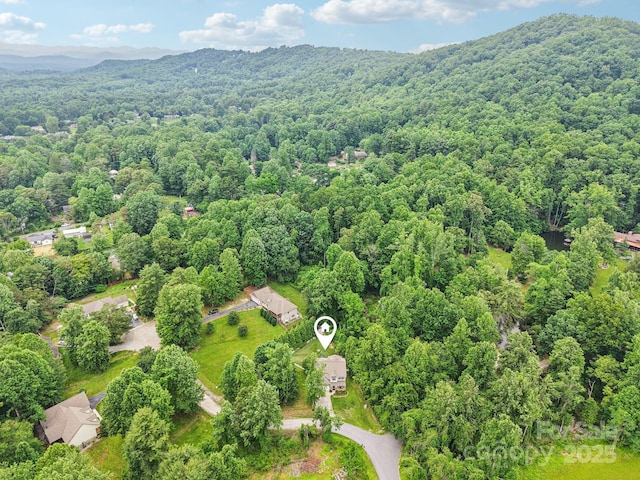 22 Streamside Dr, Hendersonville, NC 28791 - photo 46